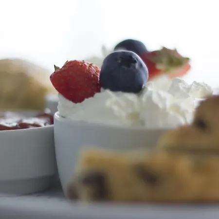 Otel The White Filey